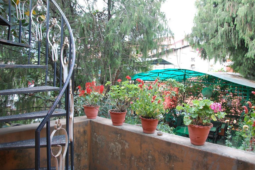Souvenir Guest House Katmandú Habitación foto